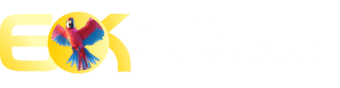 Bet palpite - Kkkjogo
